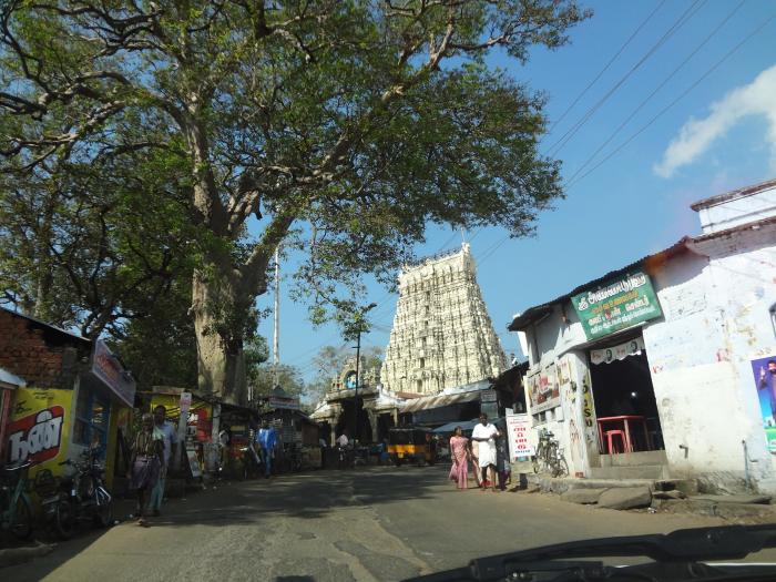 tmpooja-papanasa-swamy-temple-online-mega-pooja-store