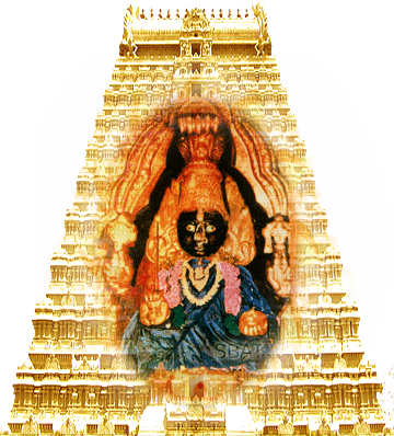 tmpooja-bhavaniamman-temple-info-mega-poojastore