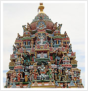tmpooja-perumaal_temple-info-mega-poojastore