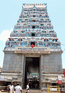 tmpooja-saneeswaran-thirunallaru-Temple-info-mega-poojastore