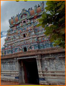 tmpooja-gneelivsneswarar-temple-online-mega-pooja-store