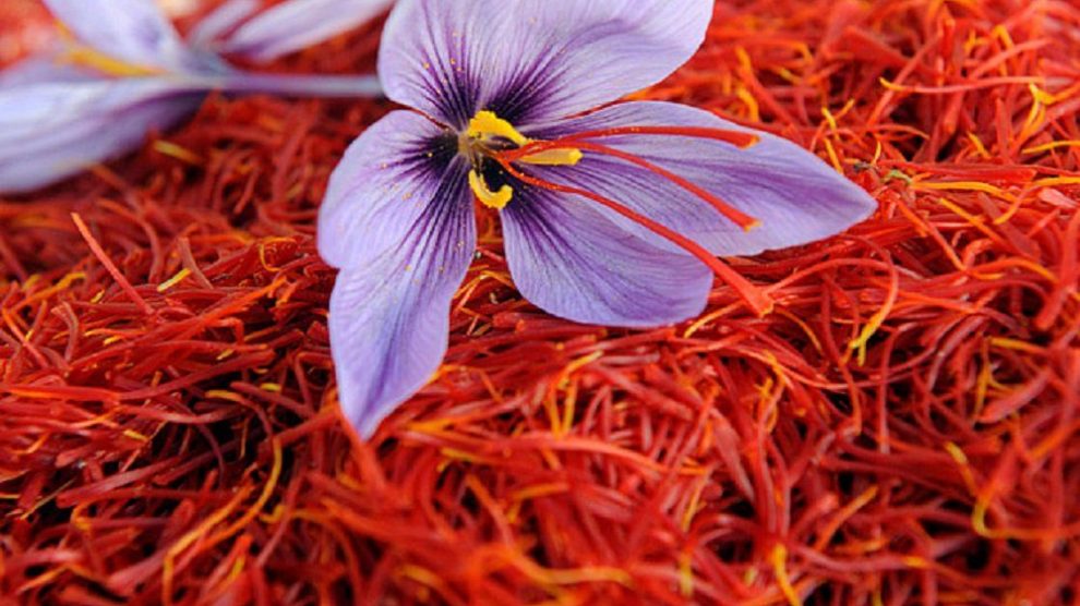 tmpooja-saffron-baby-brand-online-mega-pooja-store-info