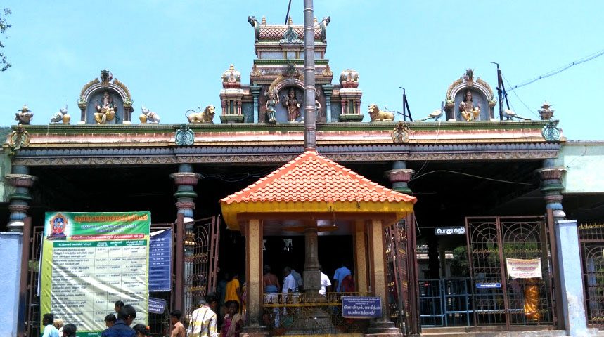 tmpooja-vanabadrakaliamman-temple-online-mega-pooja-store