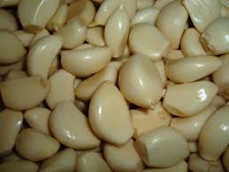 tmpooja-garlic-online-mega-pooja-store