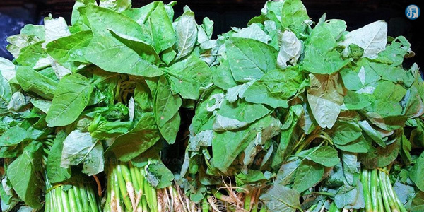 tmpooja-molaikeerayin-payangal-natural-herbals-online-mega-pooja-store