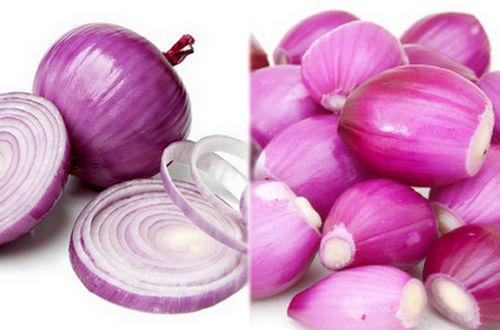tmpooja-onion-online-mega-pooja-store