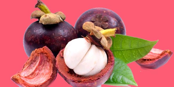 tmpooja-mangustan-natural-herbals-online-mega-pooja-store