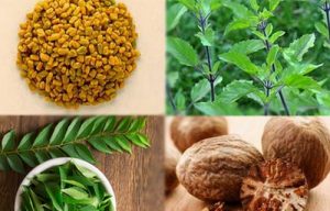 tmpooja-mooligai-maruthuva-payangal-herbals-online-mega-pooja-store