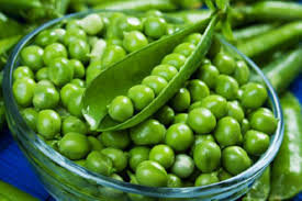 tmpooja-green-peas-online-mega-pooja-store10