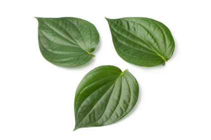 WHY BETEL LEAF IMPORTANT IN HINDU TRADITIONS